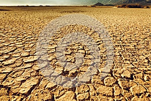 Cracked and arid soil