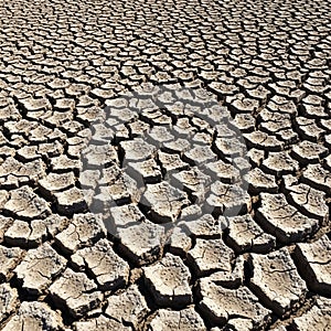Cracked, arid soil forms an expansive pattern, indicating severe dryness and