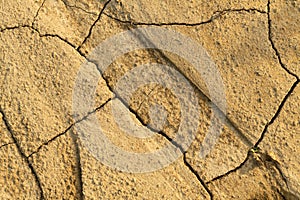 Cracked arid soil texture background. Texture of the earth during drought. Top view. Dried Land Suffering from Drought.
