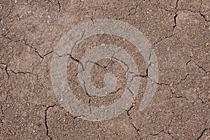 Cracked aridity soil ground shortly after rain.abstract background photo