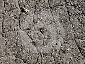 Cracked asphalt texture close-up, top view