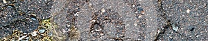 Cracked Asphalt Texture. Panoramic  Abstract