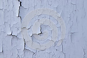 Cracked blue oil paint on aged metal surface. Cool grunge crackle texture. Fractured pattern. Peeling paint on Old wall