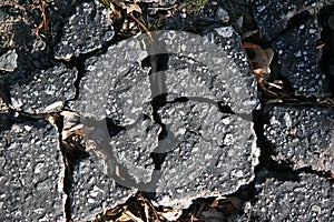 Cracked Broken Asphalt Pavement