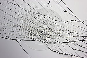 Cracked broken glass in window on light gray background. Cracks concept for design