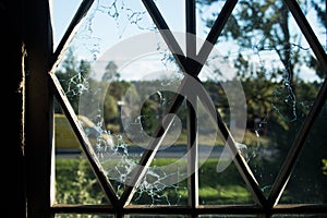 cracked and broken window glass punched by a pistol bullet