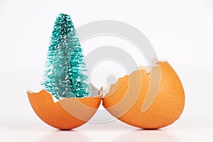 Christmas tree in broken egg.
