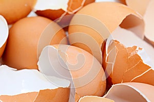 Cracked brown egg shells closeup