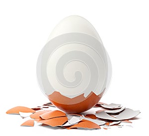 Cracked brown egg.