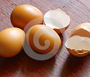 Cracked brown eggshell