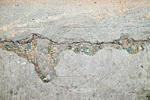 Cracked cement with fungus texture