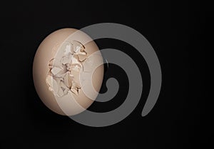 Cracked chicken egg
