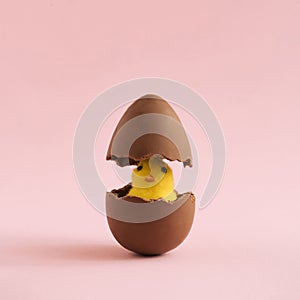 Cracked chocolate egg and yellow chicken on pastel pink background..Creative Easter holiday concept.Chick hatched out of chocolate