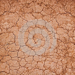 Cracked clay ground