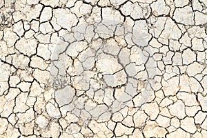 Cracked clay ground in the dry season