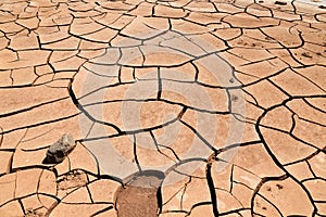 Cracked clay soil in front of the Flaming Mountains in China, Xinjiang province. Located in the Turpan depression