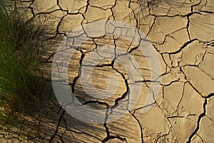 Cracked Clay surface Bardenas Reales Desert Spain