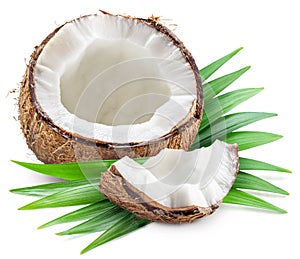 Cracked coconut fruit with white flesh inside and green leaves on white background