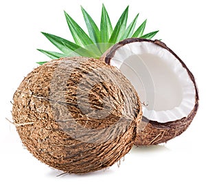 Cracked coconut fruit with white flesh and a whole coconut isolated on white background