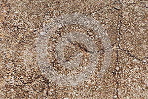 Cracked Concrete Floor Showing Structural Damage and Surface Decay photo