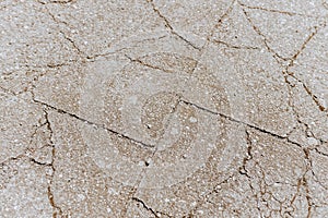 Cracked Concrete Floor Showing Structural Damage and Surface Decay photo