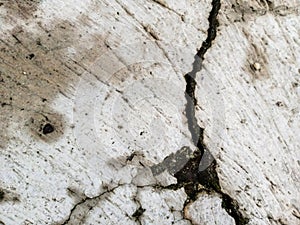 Cracked Concrete Surface