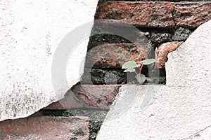 cracked concrete wall covered with gray cement surface as background.