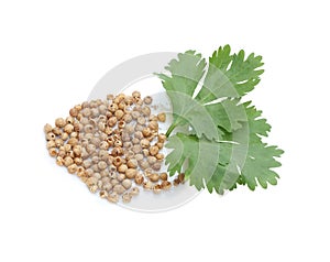 Cracked coriander seeds and leaves