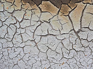 Cracked crust of dried silt. Global warming. Background image