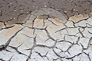 Cracked crust of dried silt. Shoal of fresh water due to climate warming