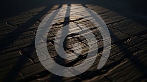 Cracked dark wood surface with dramatic light and shadow creating a textured pattern