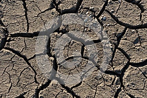 Cracked Dehydrated Soil Natural Texture