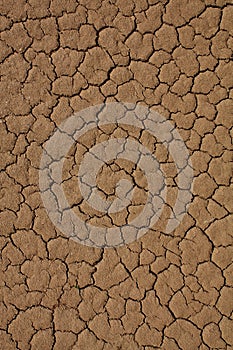 Cracked desert background texture