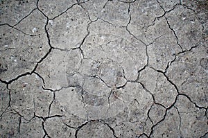 Cracked Desert Ground