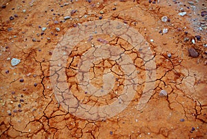 Cracked Desert Mud photo