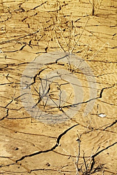 Cracked desert soil disaster