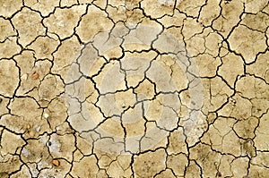 Cracked dirt ground surface with tiny fissures