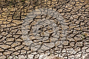 Cracked dray earth, drought , hot summer