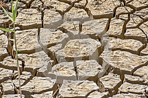 Cracked dray earth, drought , hot summer