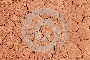 The cracked, dried earth is yellow. A desert without water. Arid ground. Thirst for moisture on a lifeless space. Ecological situa photo
