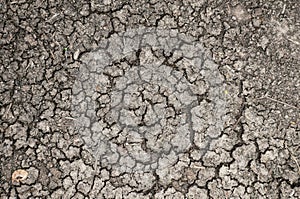 Cracked or dried ground/earth texture background.