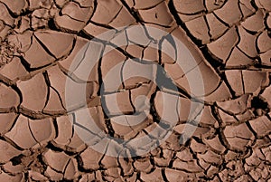 Cracked Dried Mud