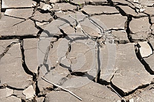 Cracked and dried mud as background and texture