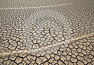 Cracked, dried mud forms an intricate pattern on an expansive surface. The texture is