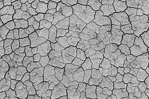 Cracked and dried mud background