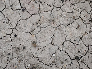 Cracked Drought Earth, Dry Land Surface, Gray Cracked Ground Surface Texture, Cracked Background