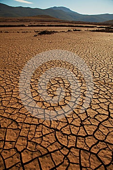 Cracked drought land