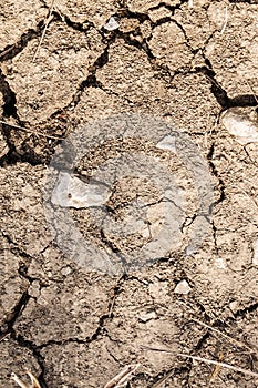 Cracked,dry drought stricken parched land dirt