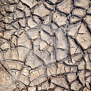 Cracked Dry Earth