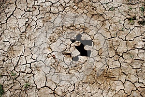 Cracked dry earth as a puzzle